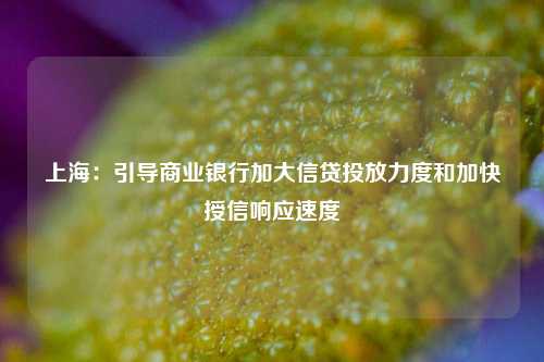 上海：引导商业银行加大信贷投放力度和加快授信响应速度