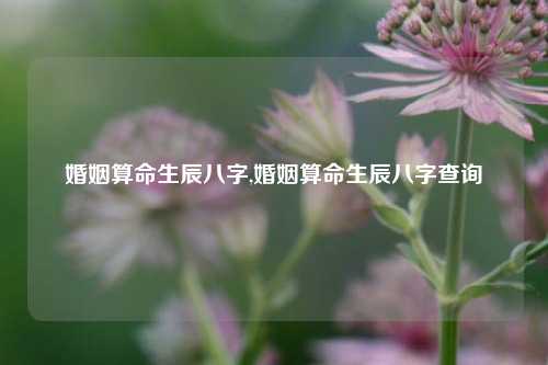 婚姻算命生辰八字,婚姻算命生辰八字查询