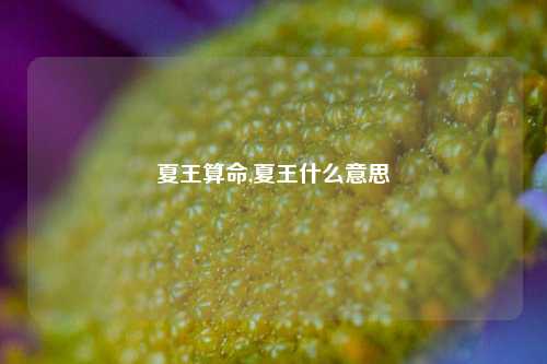 夏王算命,夏王什么意思