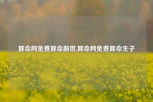 算命网免费算命前世,算命网免费算命生子