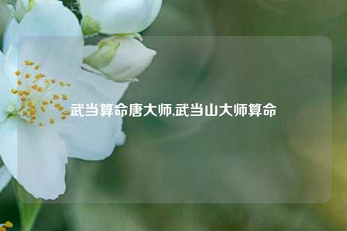 武当算命唐大师,武当山大师算命