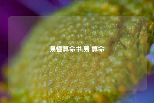 易懂算命书,易 算命