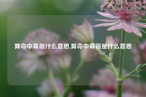 算命中寡居什么意思,算命中寡宿是什么意思