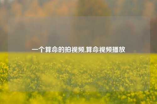 一个算命的拍视频,算命视频播放