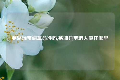 芜湖瑞宝阁算命准吗,芜湖县宝瑞大厦在哪里