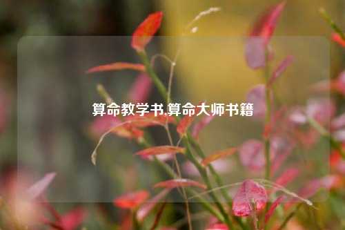 算命教学书,算命大师书籍