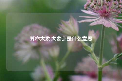 算命大象,大象卦是什么意思