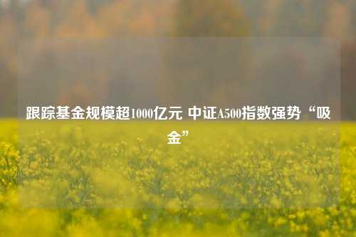 跟踪基金规模超1000亿元 中证A500指数强势“吸金”