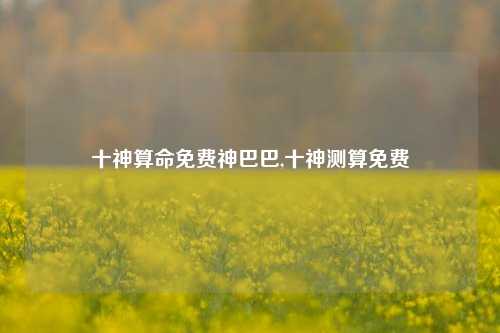 十神算命免费神巴巴,十神测算免费