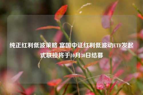 纯正红利低波策略 富国中证红利低波动ETF发起式联接将于10月30日结募