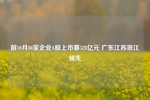 前10月80家企业A股上市募528亿元 广东江苏浙江领先