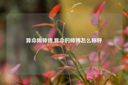 算命陶师傅,算命的师傅怎么称呼