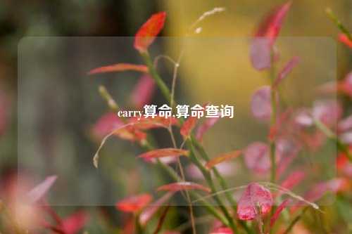 carry算命,算命查询