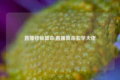 直播修仙算命,直播算命玄学大佬