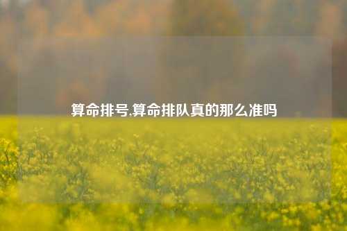 算命排号,算命排队真的那么准吗