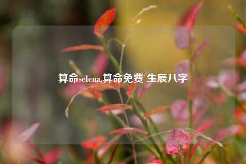 算命selena,算命免费 生辰八字