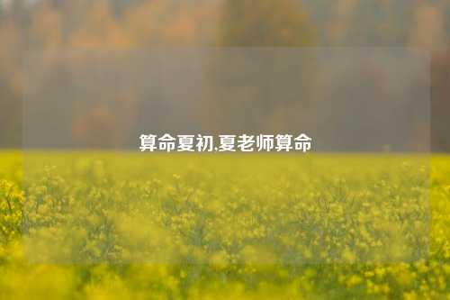 算命夏初,夏老师算命