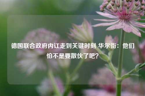 德国联合政府内讧走到关键时刻 华尔街：他们怕不是要散伙了吧？