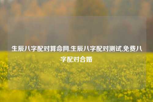 生辰八字配对算命网,生辰八字配对测试,免费八字配对合婚