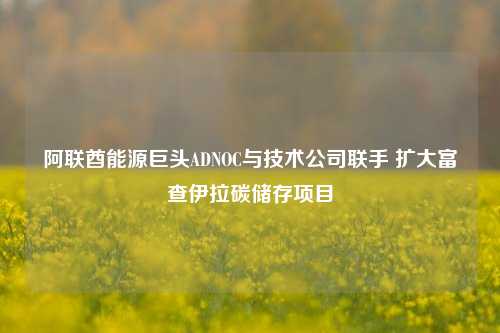 阿联酋能源巨头ADNOC与技术公司联手 扩大富查伊拉碳储存项目