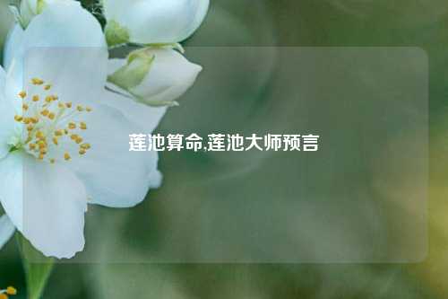 莲池算命,莲池大师预言