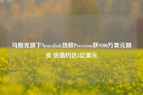 马斯克旗下Neuralink劲敌Precision获9300万美元融资 估值约达5亿美元