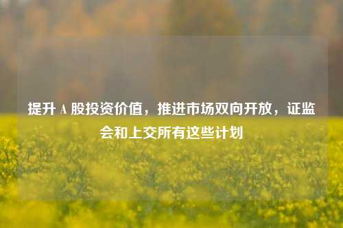 提升Ａ股投资价值，推进市场双向开放，证监会和上交所有这些计划