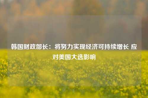 韩国财政部长：将努力实现经济可持续增长 应对美国大选影响