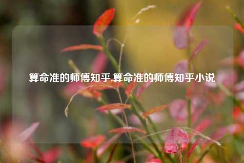 算命准的师傅知乎,算命准的师傅知乎小说