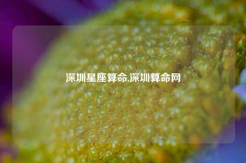 深圳星座算命,深圳算命网