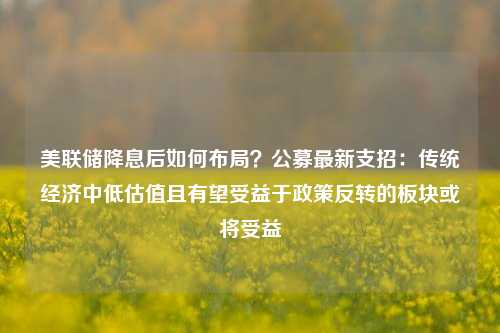 美联储降息后如何布局？公募最新支招：传统经济中低估值且有望受益于政策反转的板块或将受益