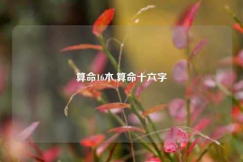 算命16木,算命十六字