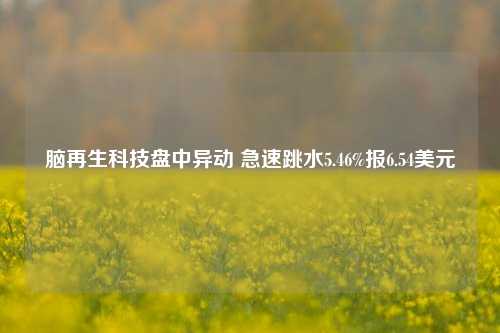 脑再生科技盘中异动 急速跳水5.46%报6.54美元