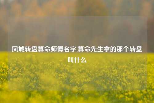 凤城转盘算命师傅名字,算命先生拿的那个转盘叫什么