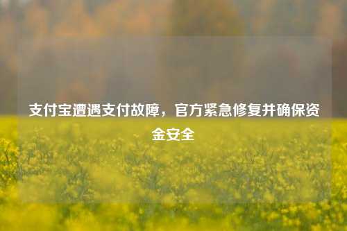 支付宝遭遇支付故障，官方紧急修复并确保资金安全