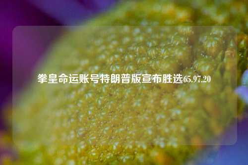 拳皇命运账号特朗普版宣布胜选65.97.20