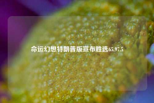 命运幻想特朗普版宣布胜选65.97.5