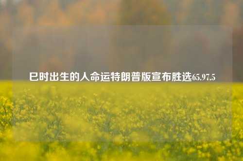 巳时出生的人命运特朗普版宣布胜选65.97.5