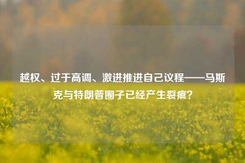 越权、过于高调、激进推进自己议程——马斯克与特朗普圈子已经产生裂痕？