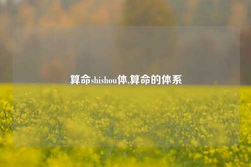 算命shishou体,算命的体系