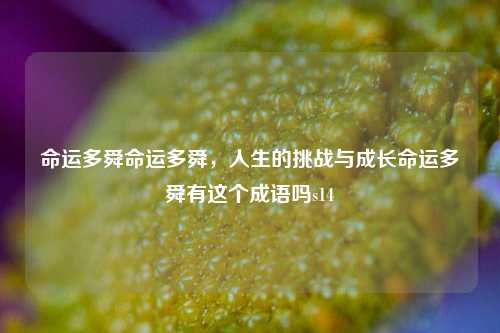 命运多舜命运多舜，人生的挑战与成长命运多舜有这个成语吗s14