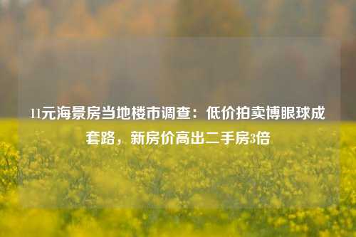 11元海景房当地楼市调查：低价拍卖博眼球成套路，新房价高出二手房3倍