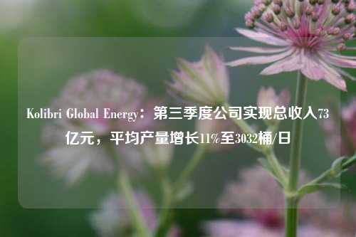 Kolibri Global Energy：第三季度公司实现总收入73亿元，平均产量增长11%至3032桶/日