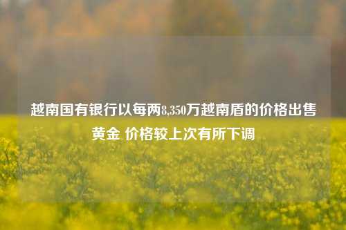 越南国有银行以每两8,350万越南盾的价格出售黄金 价格较上次有所下调