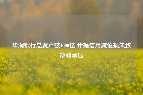 华润银行总资产破4000亿 计提信用减值损失致净利承压