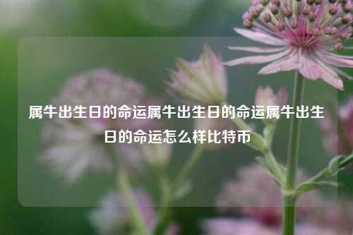 属牛出生日的命运属牛出生日的命运属牛出生日的命运怎么样比特币