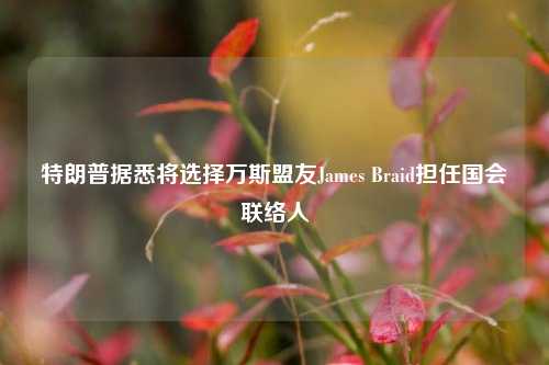 特朗普据悉将选择万斯盟友James Braid担任国会联络人