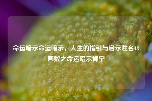 命运暗示命运暗示，人生的指引与启示姓名48画数之命运暗示肯宁