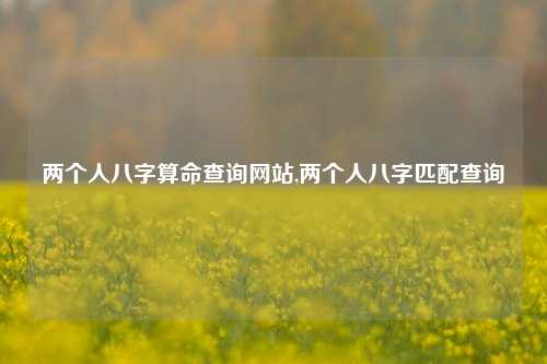 两个人八字算命查询网站,两个人八字匹配查询