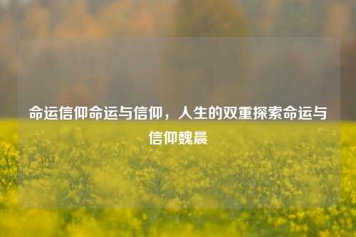 命运信仰命运与信仰，人生的双重探索命运与信仰魏晨